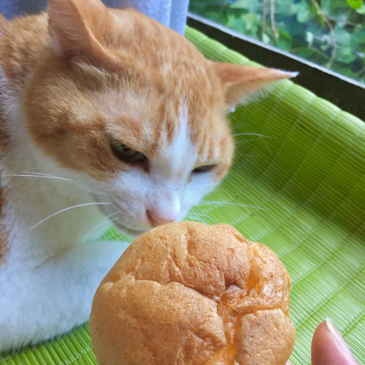 5940978f e6df 4208 84b9 faaf6bff100c 1597050645132