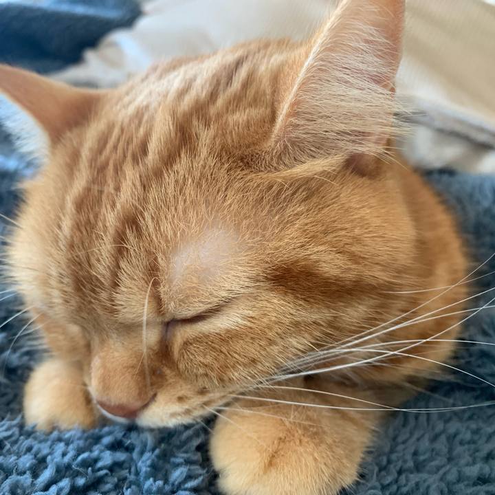 5940aa76 948b 48af 9960 a98c461aaf27 1638574168647