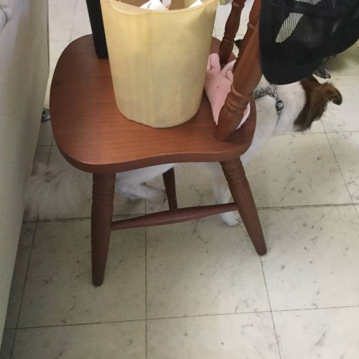 5940cc04 d601 432d 8283 eade5124f01f 1601726151894