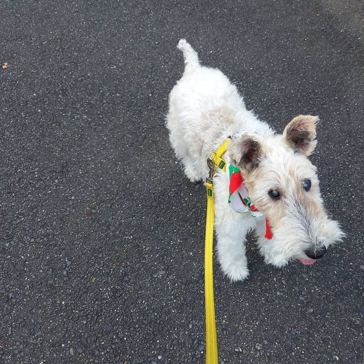 5940f86b b626 4936 bce4 204c0dbdacf9 1633923148135