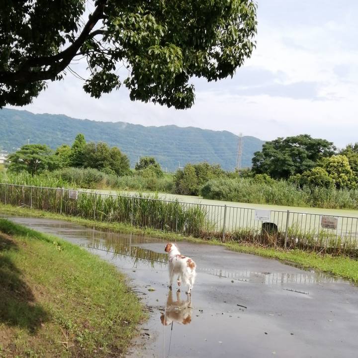 594102e1 e016 4eee b1f8 6df7ef497fcb 1594368550306