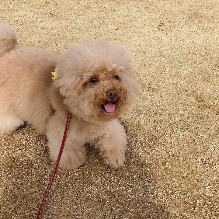 59411646 07c7 4ea9 b1ed d696f48c2e61 1537934799049