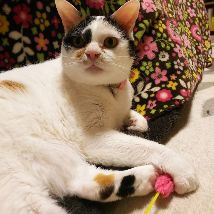 59411b8f fd77 4b2c b9fb f352d1e6ead3 1557489874188