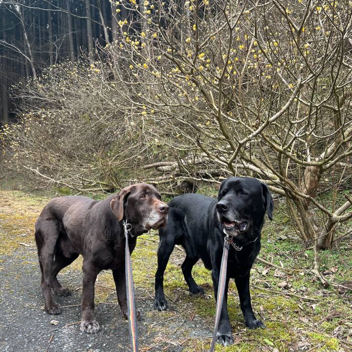 59412041 0fdf 4f6c a7c7 0ad0214ff55b 1773486974232