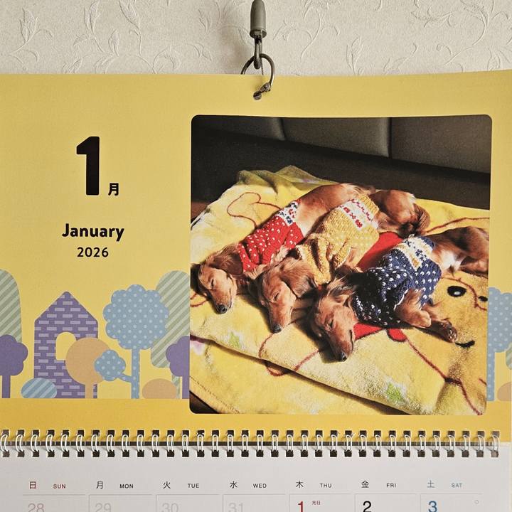 594139e5 43f5 41bd a459 0a62e93fc1c2 1767528028256