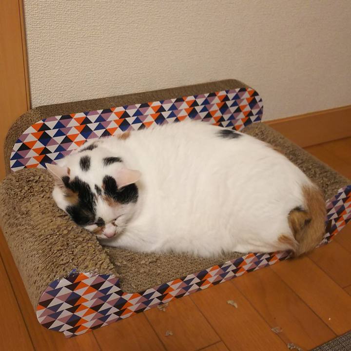 59414666 a9ba 4d74 b3c3 3f732b77810a 1563454164860