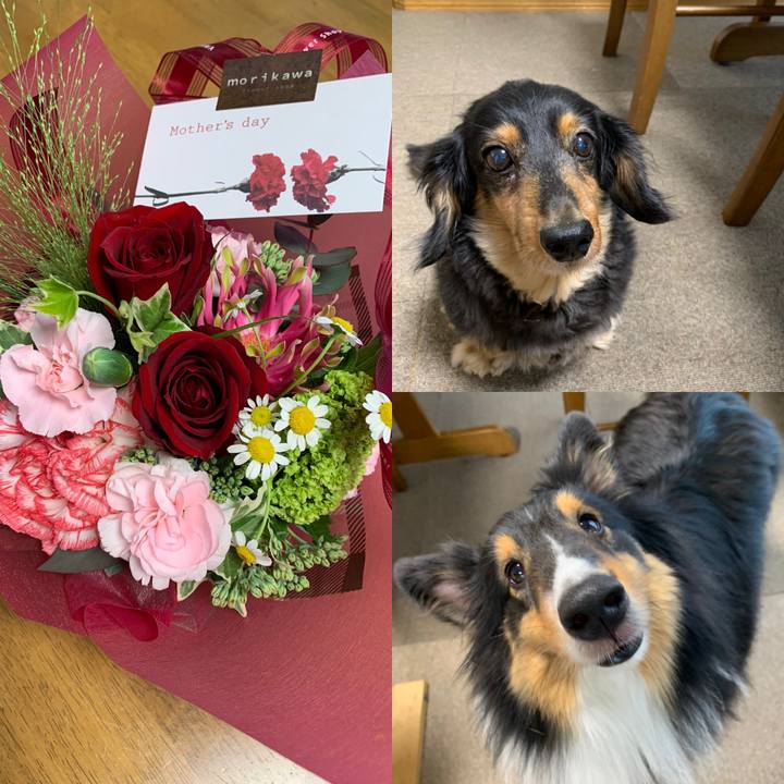 594199c5 42d1 4af8 ad74 8df2aa37c141 1589099607870