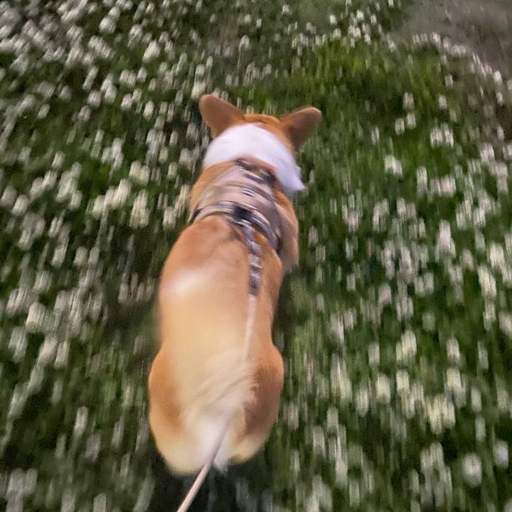 5941cdbc e49b 42da 80d4 ee13d3a4acda 1682863745478