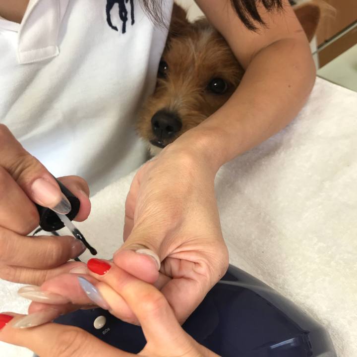 5941f0dd 723c 4e50 af07 abf5cc0c7cda 1534852820318