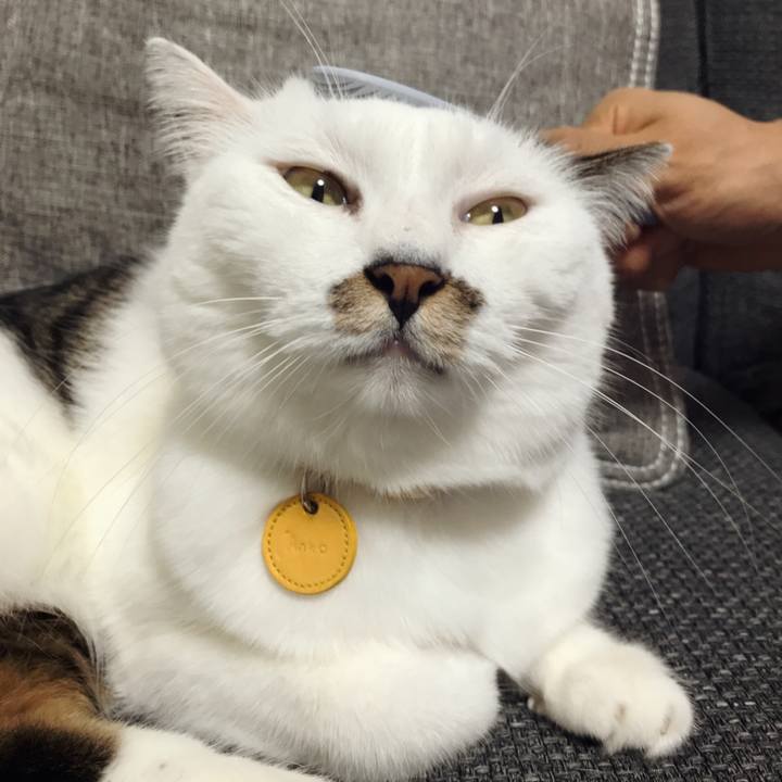 59421d03 34dc 4145 8449 53eb1b25b3f9 1570162575989