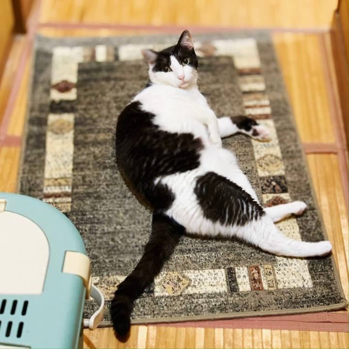 59423179 8df9 4629 8040 0c821e2f81d8 1599966390754