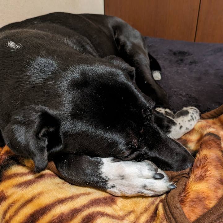 59427370 e870 403a ac35 2528fc6fc95f 1710465402663