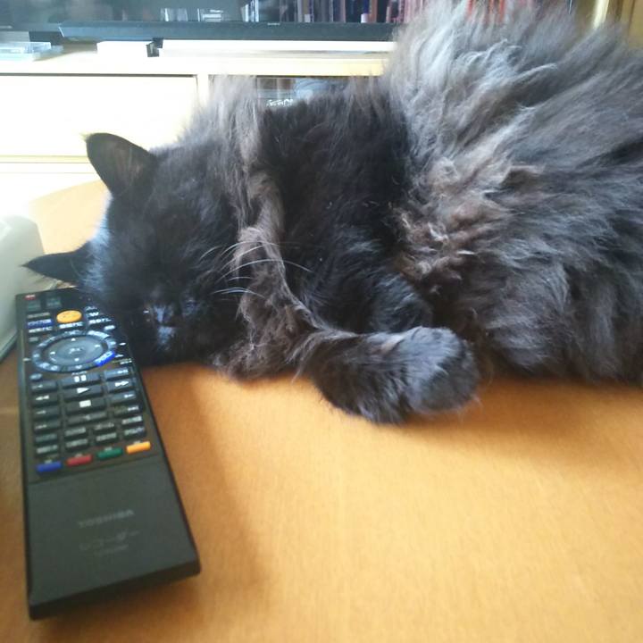 59428538 afd3 4fa9 b5e0 1101dd497371 1569711155629