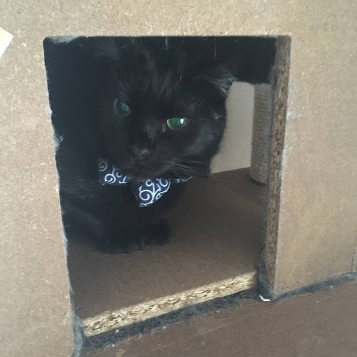 5942ae03 f99b 44ff a455 1b0e4db0edb5 1551305058369