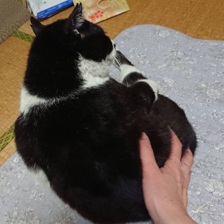 59431dda d55b 4c53 aaf0 4f7cf266e81b 1650666851374