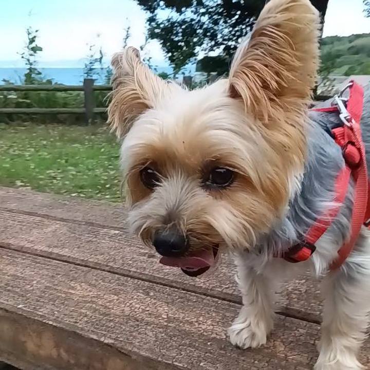 59433793 93bc 4361 9cd5 e33d3f3e1817 1730543408980