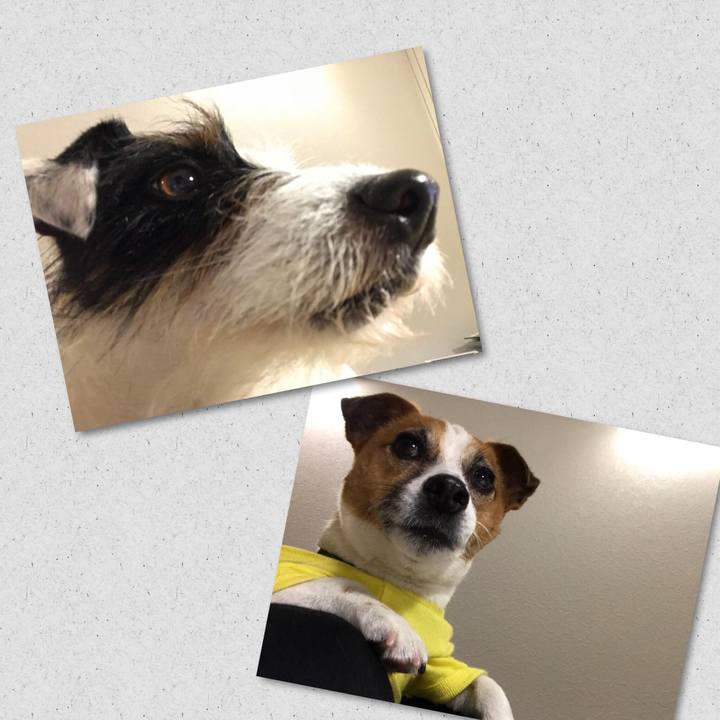 5943a620 0c08 4f7e a462 47a97cfe6bcd 1523788787578