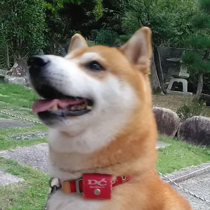 5943a8cb 6a00 429a 9d80 7cab5ddb517b 1602373807511