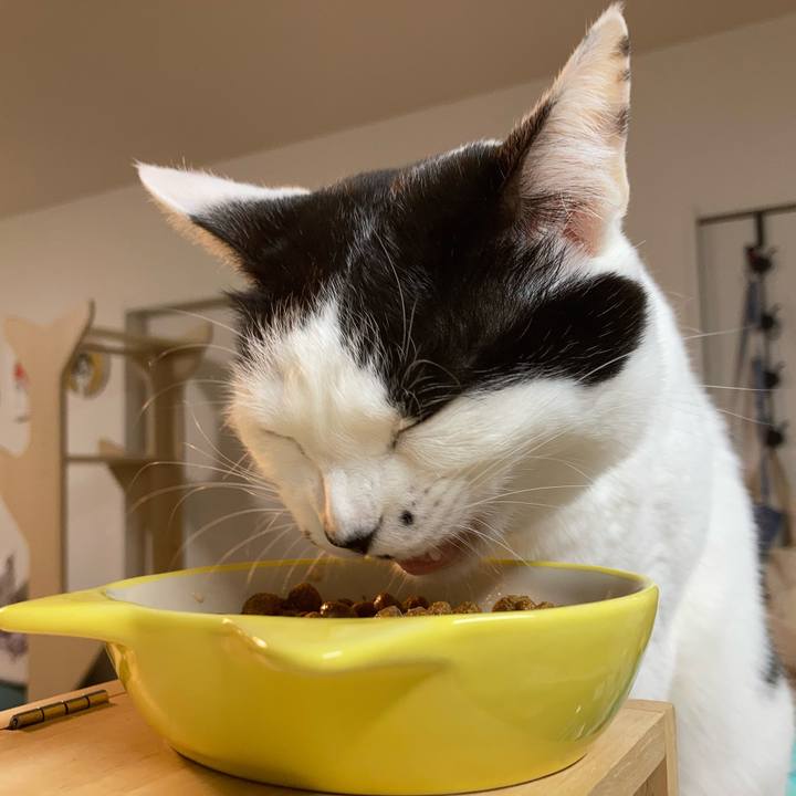 5944aa75 258d 4216 b197 b0006d63e4c1 1765141485630