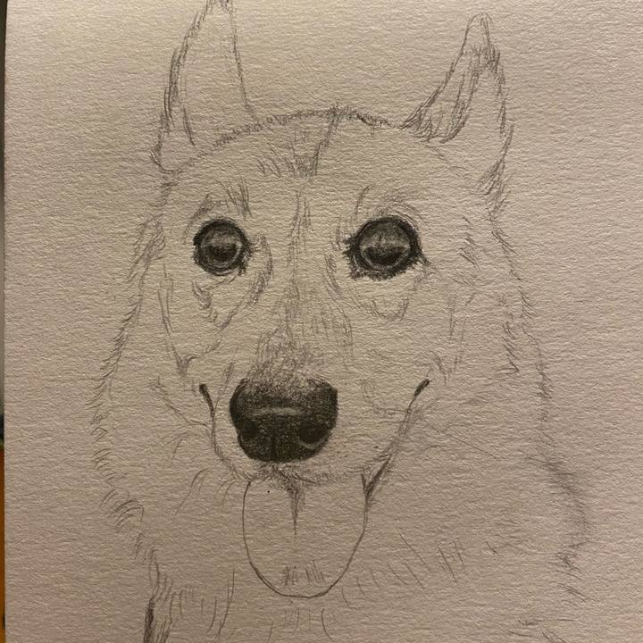 5944bbf4 1eac 4669 82e2 d021adab26d5 1635175927724