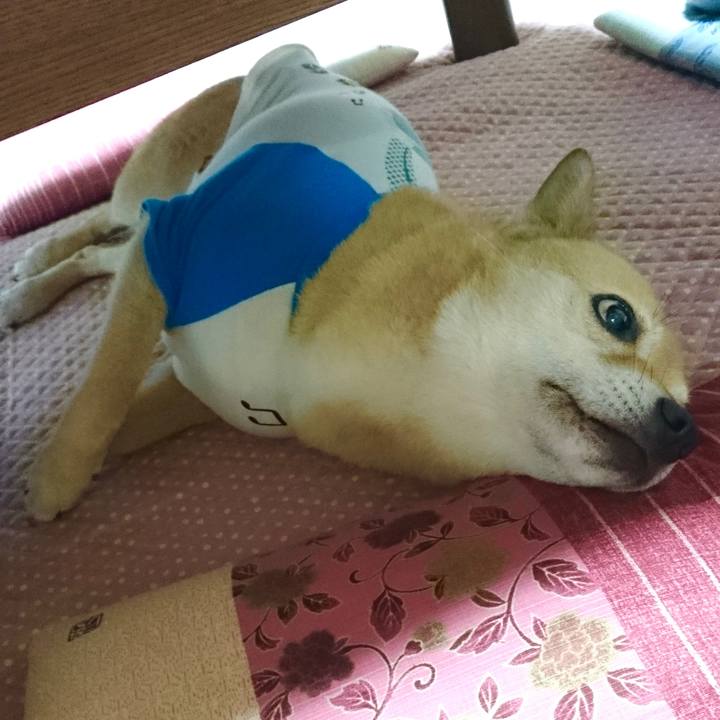 5944e359 75ef 4984 84df 3e46e77fe6ea 1603721590534