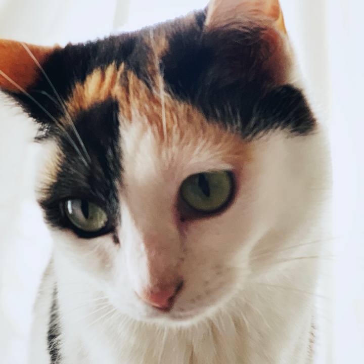 59450134 175d 479d a95f d74b4665ef71 1556935215565