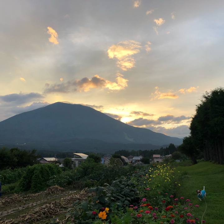 59451140 d185 49bd a42b 2f4154ec21fb 1567682865786