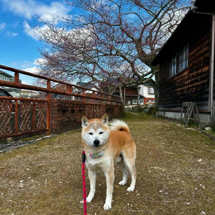 5945146a ecf5 4717 886e 2376102f41dc 1774352601054