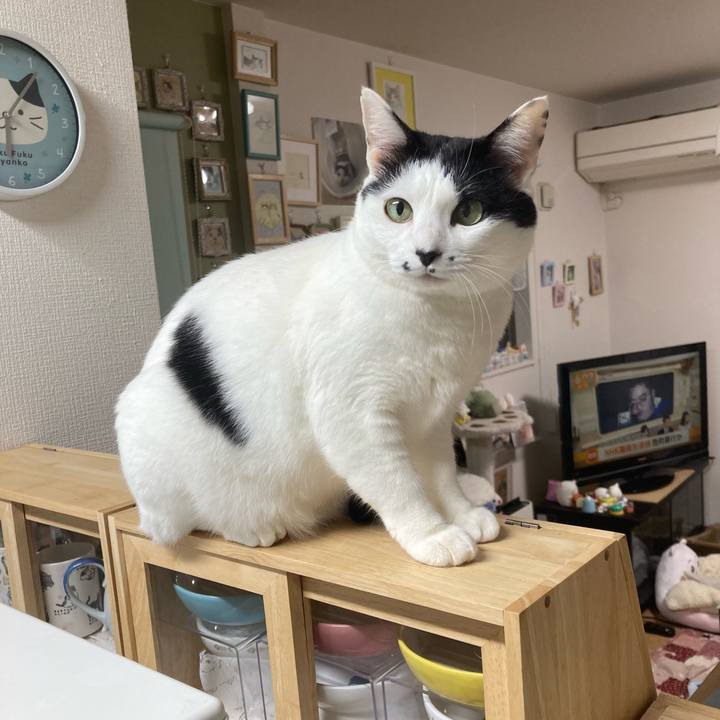 59451a08 e76f 4e55 8c6e d22bb118c959 1772831124198