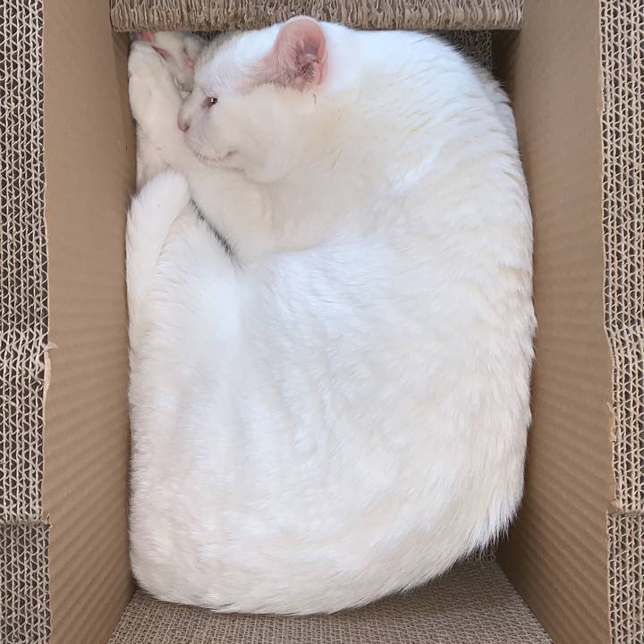 59452c2c 270a 4b5c 9d9a 5005058fff43 1700785073135