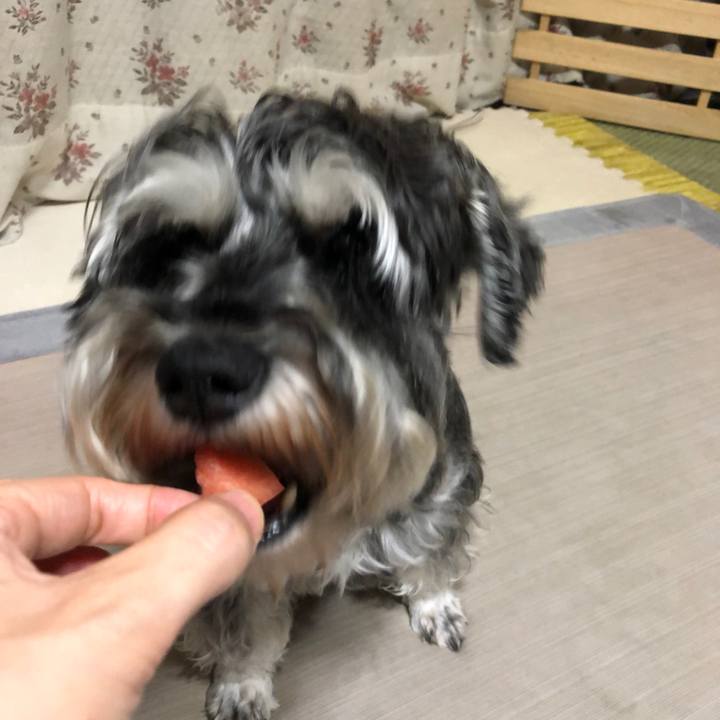 5945347f 8cc5 4390 851f 5a03d7876f95 1629176064074