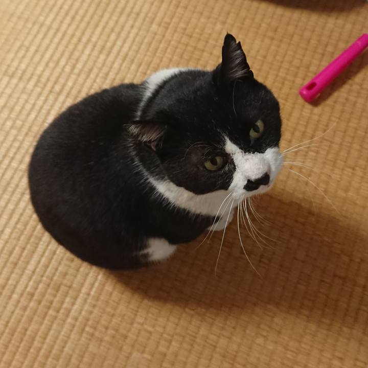 59453837 712f 4398 a600 bc1b7be19520 1558048636490