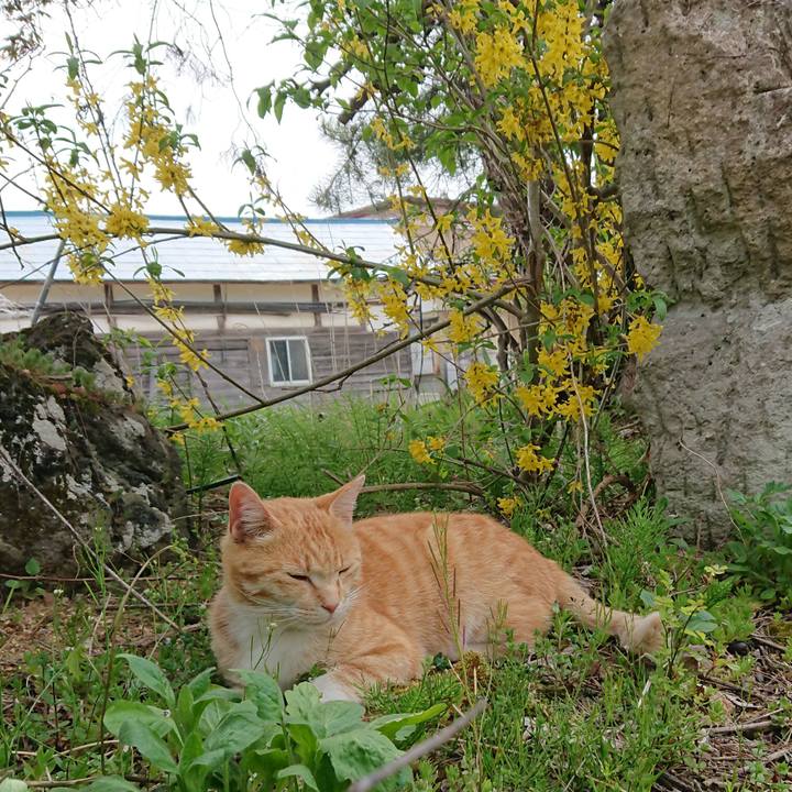 59456c8f c574 4828 a54b c604c18fe212 1588478544121