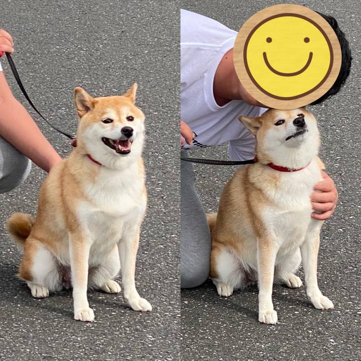 5945703f f625 4e95 b673 4f480752ce1f 1589464767530