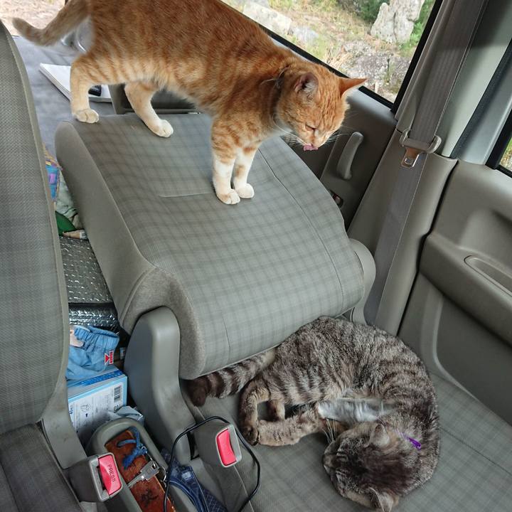 594586b4 e68c 4434 9090 4043d830f799 1592037468827