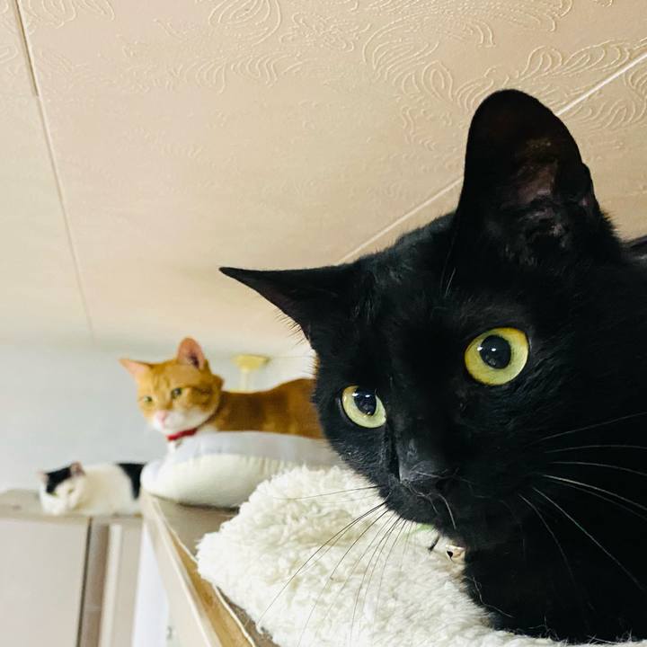 5945a2c1 0f52 4c31 851e 15a407d0c5dc 1685016810157