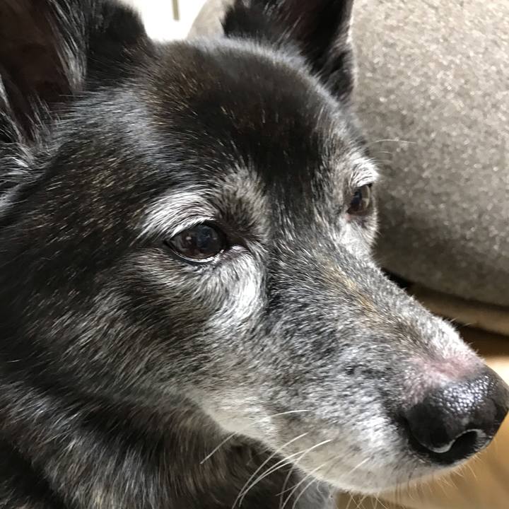 5945b5ee 7794 47b6 8c43 6621f0f95560 1614576568520