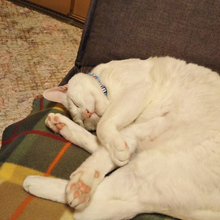 5945e276 43ac 4901 8f45 9885dcb50d72 1605449970851