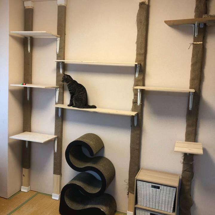 5945f15a 646b 4535 a227 2687be608083 1535592747019