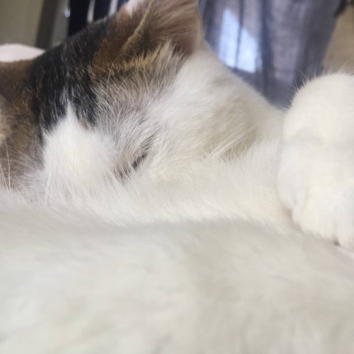 59466ee9 de47 42f4 a549 ed8826585e6d 1526971106295