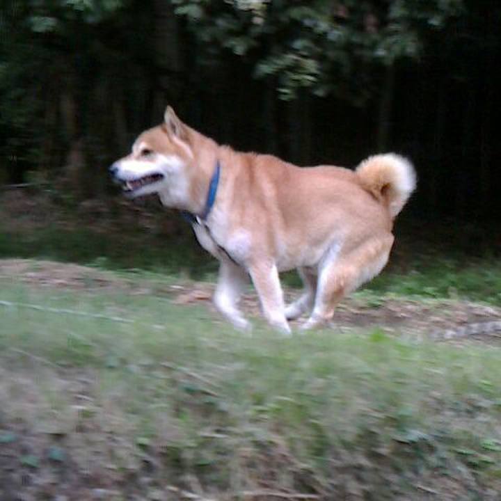 594679b4 41a6 4677 a99a 3459f073da0b 1536842293695