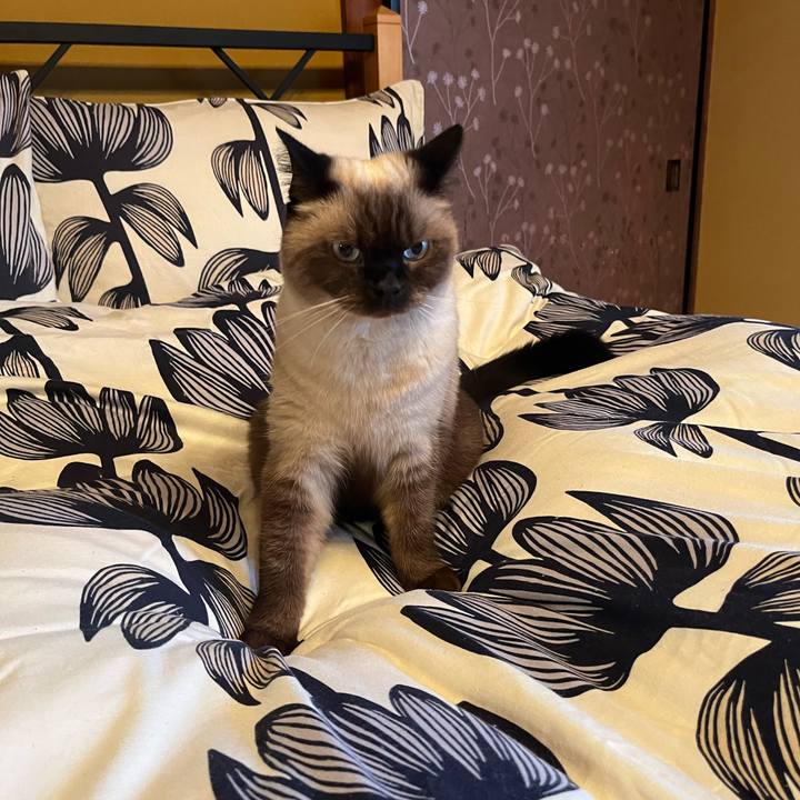 5946de04 a857 4a63 8592 3be49df2d575 1633734815650