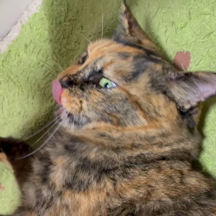 5946ec0a d05a 4348 a109 a55fcb252bc1 1757972512262