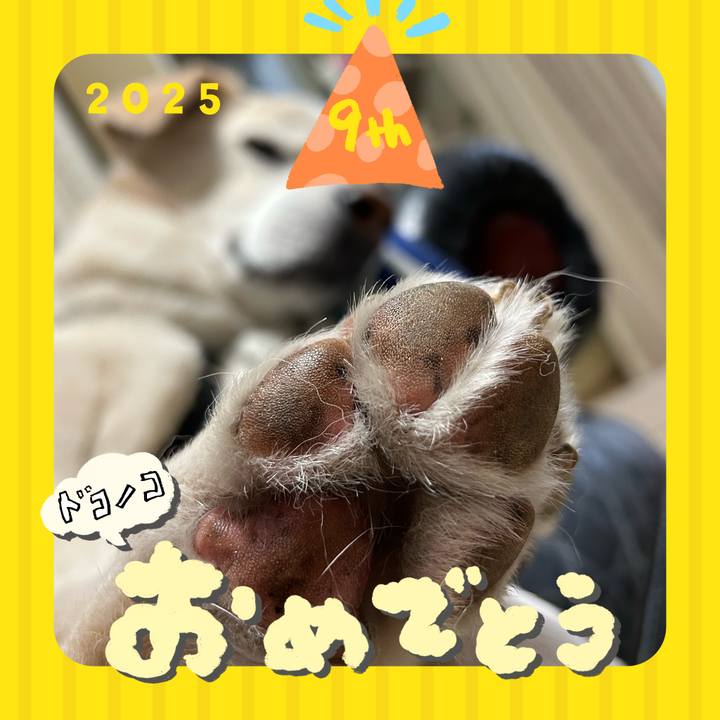 59471ea6 ab18 4988 b5a5 688a7aa83303 1749168793400