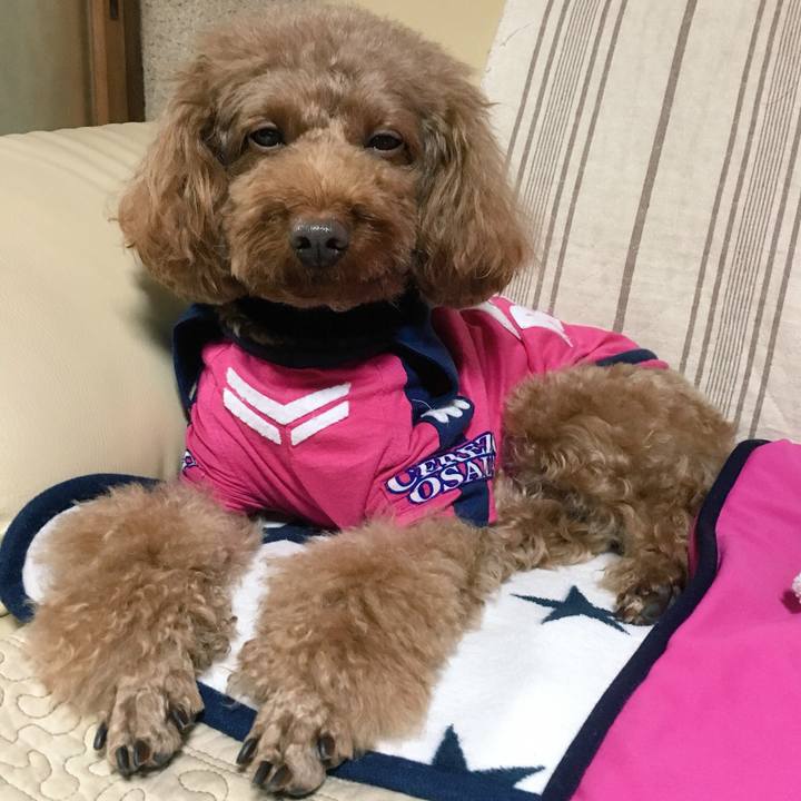 59475969 3d69 435d 8861 d32f09fc1863 1508557837432