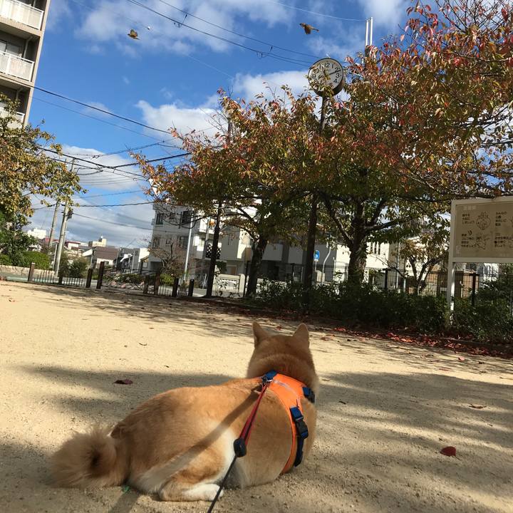 594788de dffa 4771 af41 a520b380a314 1542293214757