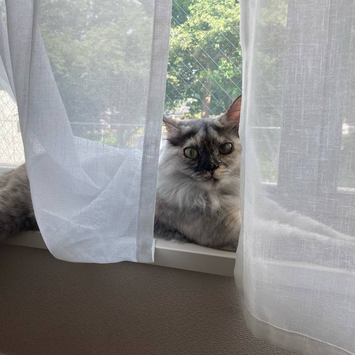 59479d7f 24b9 4143 94c8 560a239ada8f 1751932897398