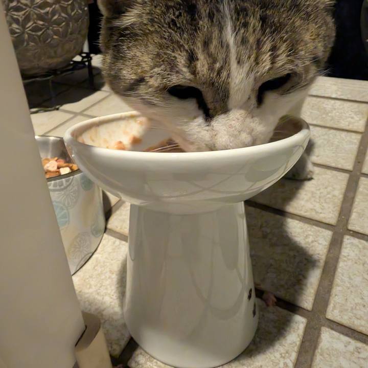 5947ada4 f712 4712 9349 4bf1b8e98c37 1767022241217