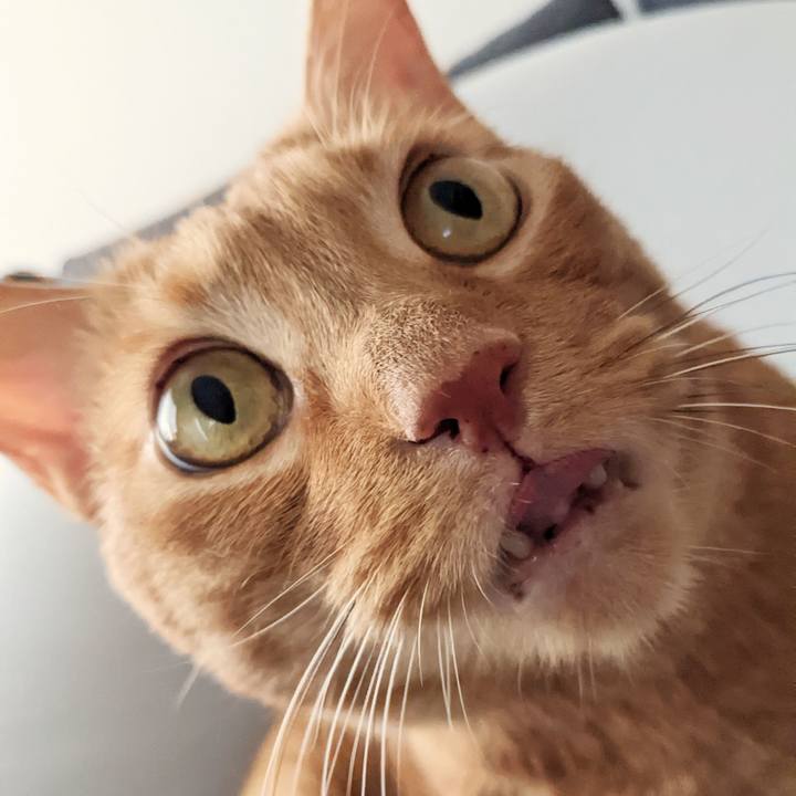 5947cede 3794 4269 8ef1 b33174a3f925 1657165269477