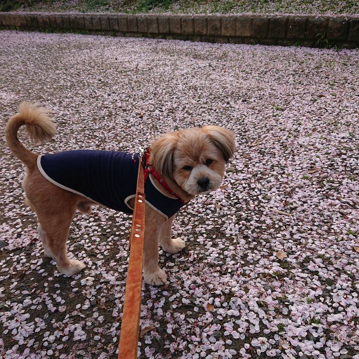 5947f3f4 5d34 483f 8c81 93031d89e9c8 1616974417016